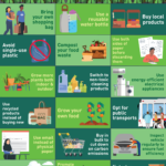NPHAP FACTSHEET 6 BI