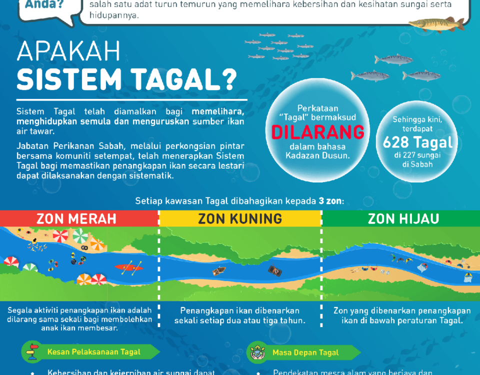E7 Sistem tagal Page 1